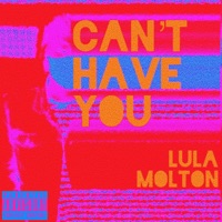Can't Have You - Single - Lula Molton