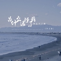 为什么选择了我却忘不了她 - Single - Li Wen Jing