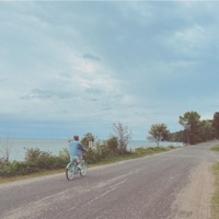 Strawberries - Single - Bark Point.