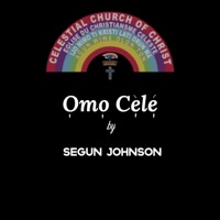 Omo Cele - Single - Segun johnson
