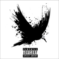 Birds For the Winter - Single - Rok the Royal