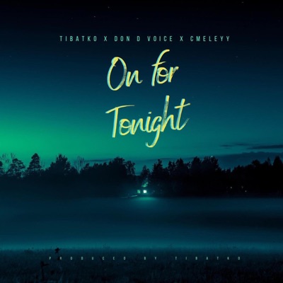 ON FOR TONIGHT (feat. Cmeleyy & Don d voice) - Single