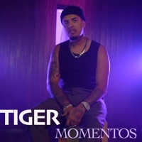 Momentos - Single - Tiger