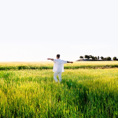 Tu Alegría - Single