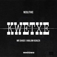 Kwetxe (Neolithic) (feat. Malum Kgauza & Mr shade) - Single - Young T