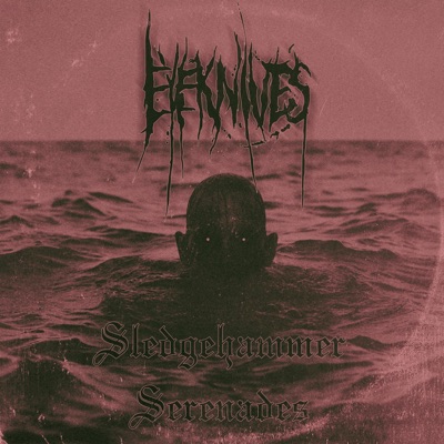 Sledgehammer Serenades - Single