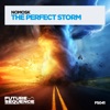 The Perfect Storm - Single