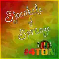 Sjoenkele of Springe