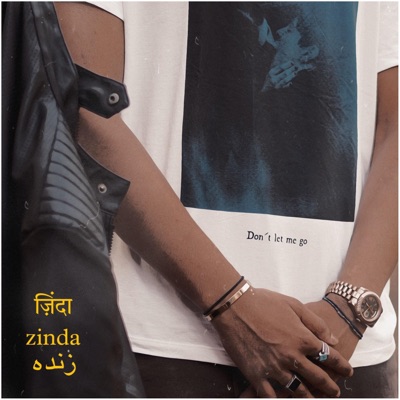 Zinda (From the Mixtape FLY OR FALL?) - Single