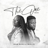 The One (Remix) [feat. Skales] - Single - Sade Blaq