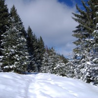 B4 I Met Her - Single - claude