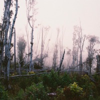 Rise - Single - morningtime