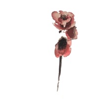 Made You Look By Nwakke & Jaso (Aloisius Remix) (feat. Nwakke & Jaso) - EP - aloisius