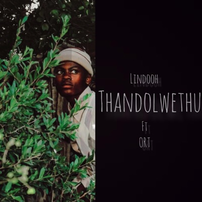Thandolwethu (feat. Lindooh) - Single