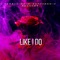 Like I Do (feat. Houston, Vonnie Gz & Gatti800) - The Real P-2 lyrics