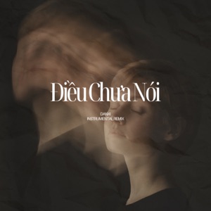Điều Chưa Nói (Instrumental remix)