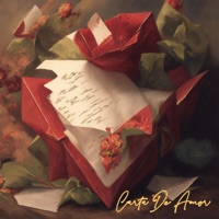 Carta De Amor (feat. Hinato) - Single - Rielzz