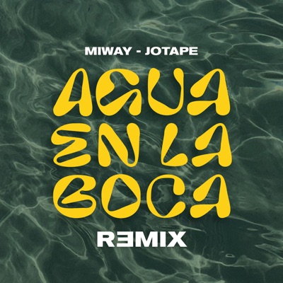 Agua En La Boca (Remix) - Single