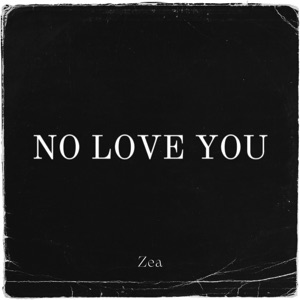 No Love You