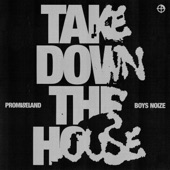 Take Down the House (Boys Noize Remix) artwork