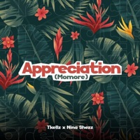 Appreciation (Momore) - Single - Tkellz & nina shezz