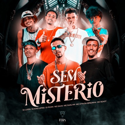 Sem Mistério (feat. DJ LUIZIN, MC Skcot, Mc Dudu HR & Dj Pkzin) - Single