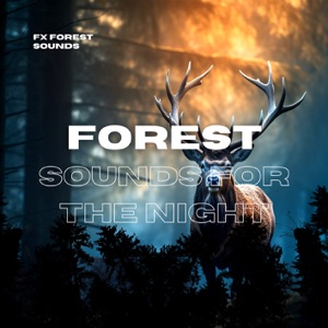 Forest Sounds for the Night - Nature Sounds for Sleep