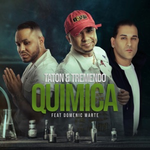 Química (feat. Domenic Marte)