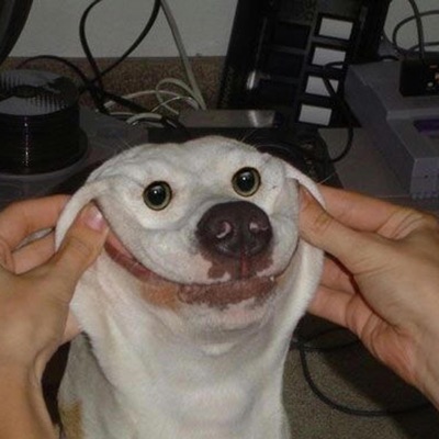 Did i really think i could get away with pretending i own a House? - Single