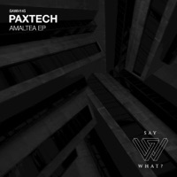 Amaltea - EP - Paxtech