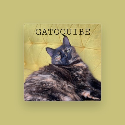 Listen to Gatoxinha, watch music videos, read bio, see tour dates & more!