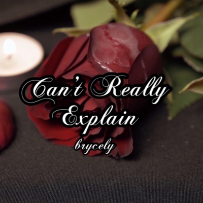 Can't Really Explain - Single
