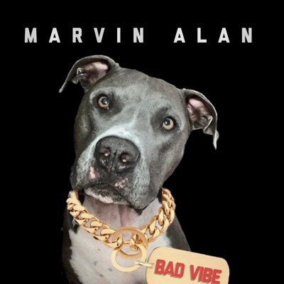 Bad Vibes - Single