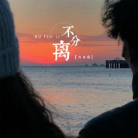 不分离 - Single - 向南燊