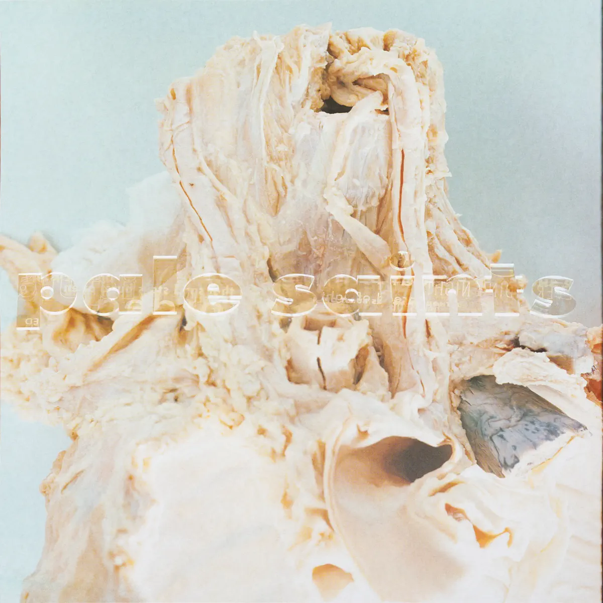 Pale Saints - In Ribbons (30th Anniversary Reissue) (2023) [iTunes Plus AAC M4A]-新房子