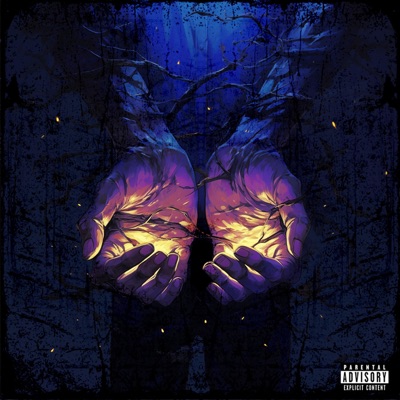 Dim My Light - Single