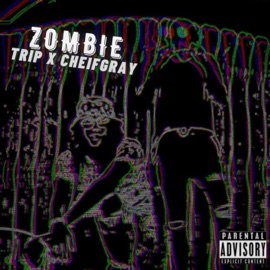 Zombie (feat. Chief Gray) Trip