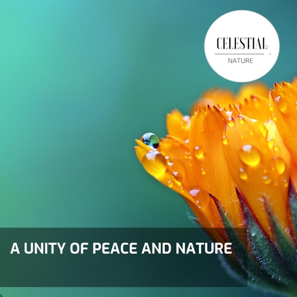 A Unity of Peace and Nature