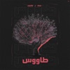 TAOOS طاووس (feat. Tayyab) - Single