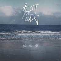 无可替代 - Single - 添儿呗