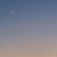 Above the Roofs - Single - Sebastian Jautschus