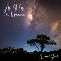As it is in Heaven - David Seida