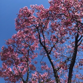 From Me, To You (feat. Jacy Nyte) Josua Natanael