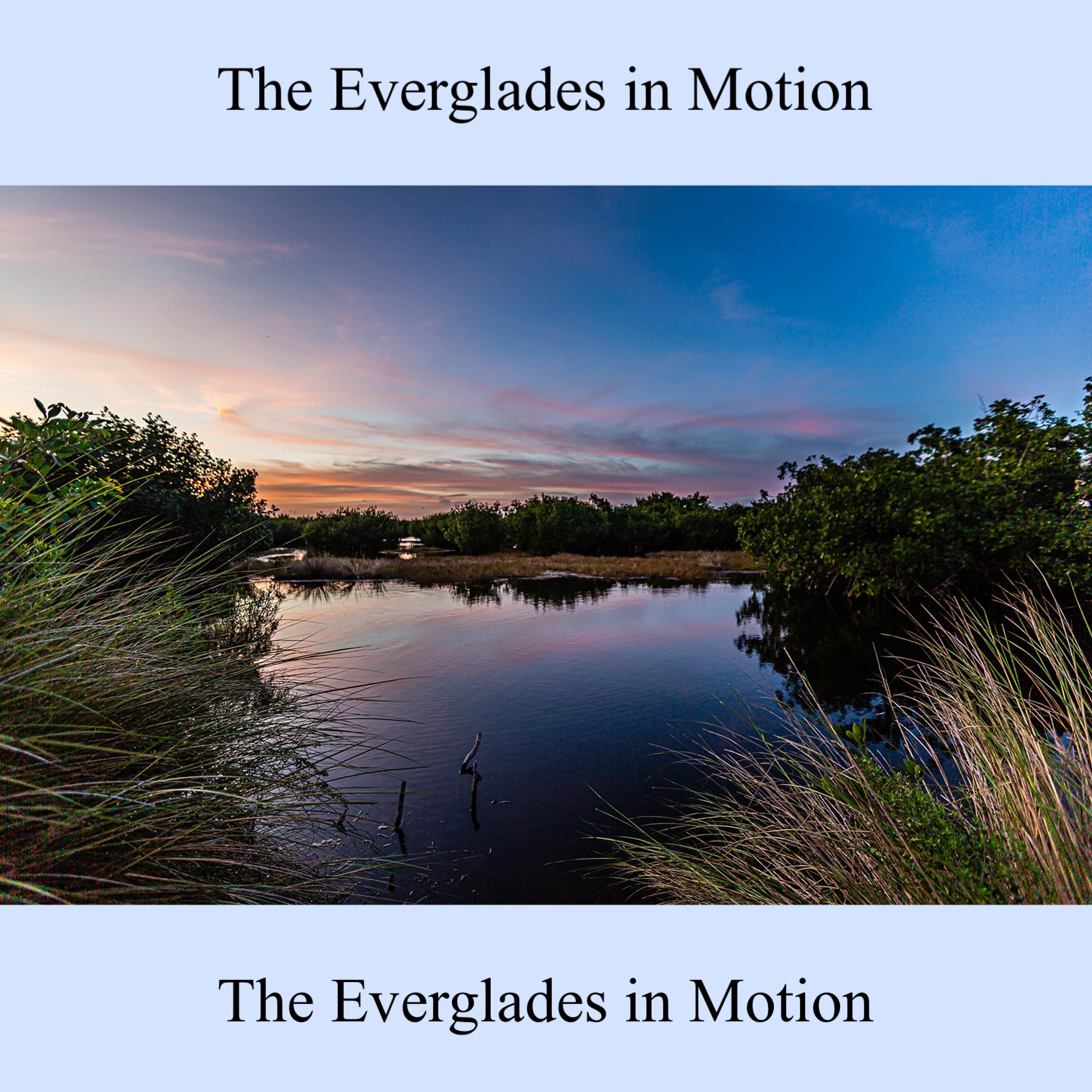 Tinnitus Therapy the Everglades in Motion Nature Sounds