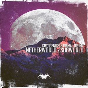 NetherWorld x SubWorld - Single