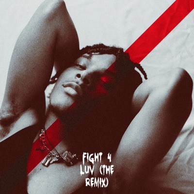 Fight 4 Luv - Single
