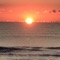 Swap Spring (feat. Matthew Peterson) - Matthew Steven lyrics