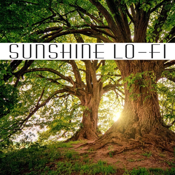 Sunshine Lo-Fi (feat. DJ Freccia & Francesca Zanotti)