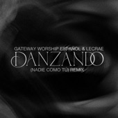 Danzando (Nadie Como Tú) [Remix] artwork
