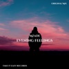 Evening Feelings - Single